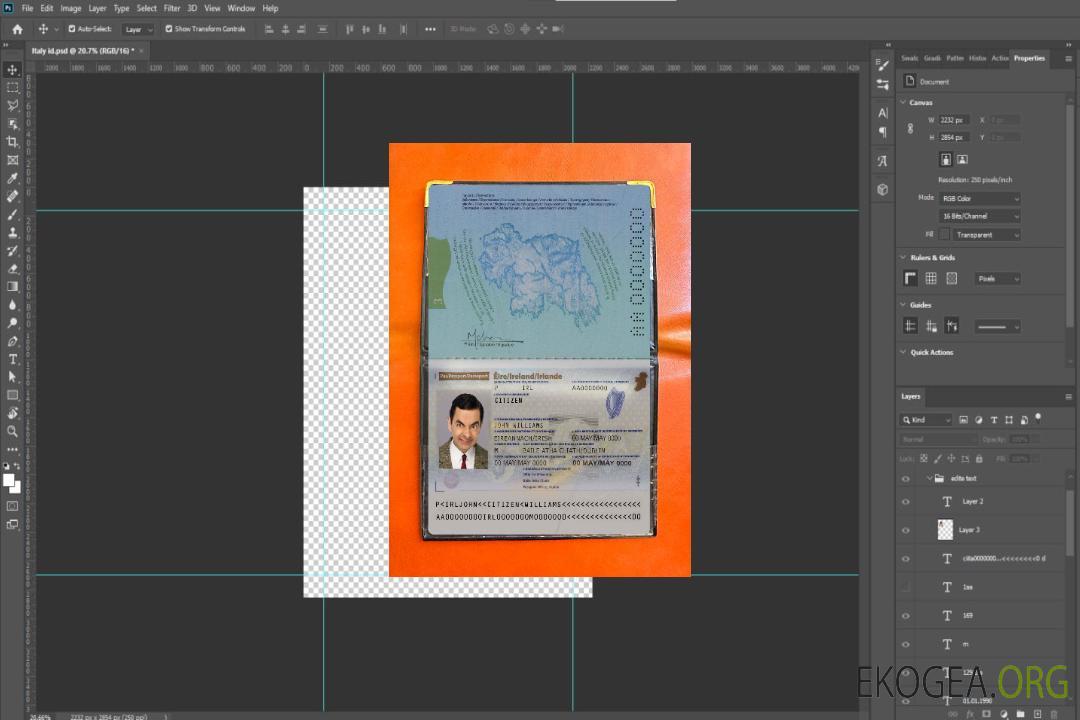 Look photo du passeport irlandais template Look photo du passeport irlandais template